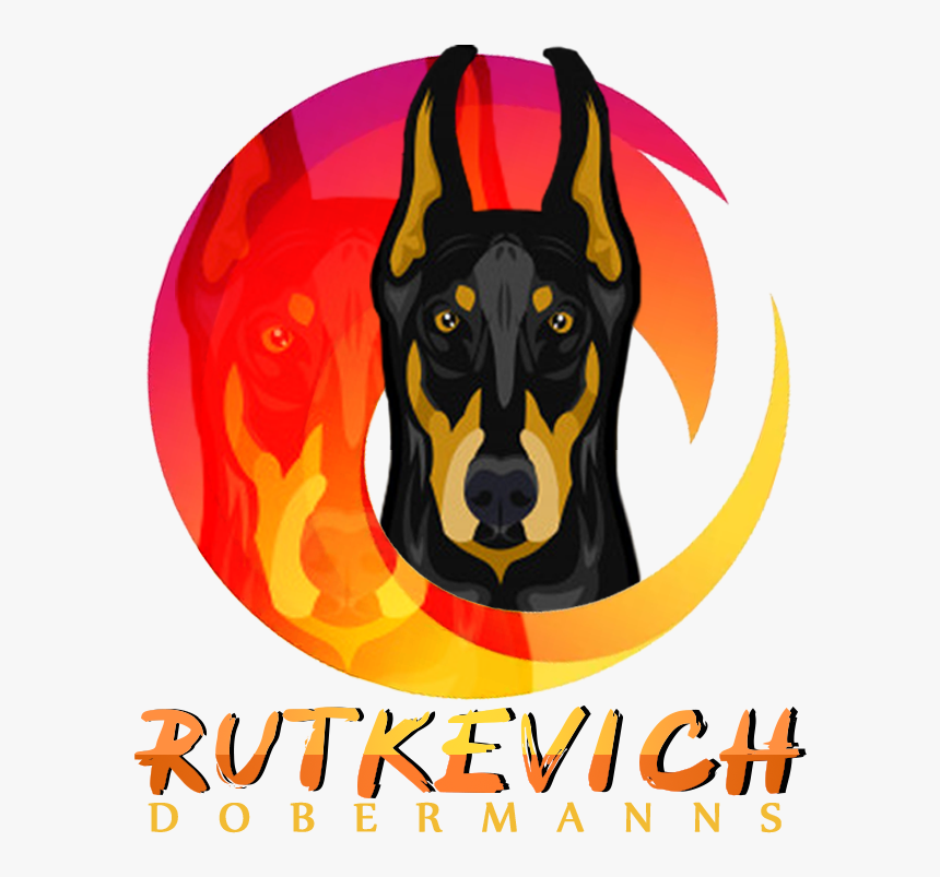 Logo-transparent - Dobermann, HD Png Download