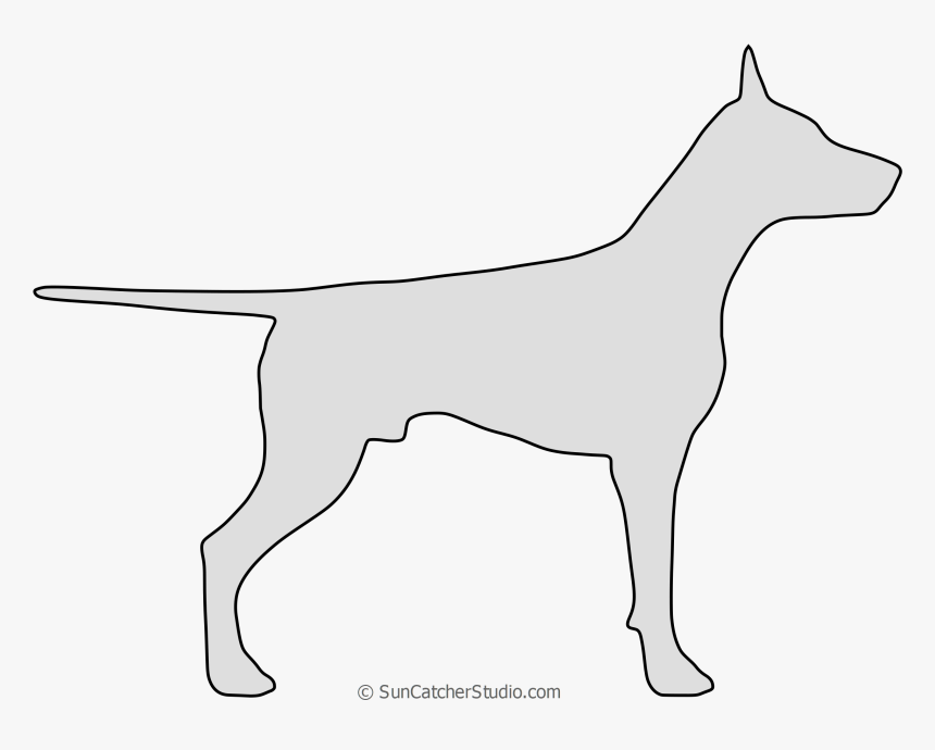 Doberman Vector Dog - Dobermann, HD Png Download