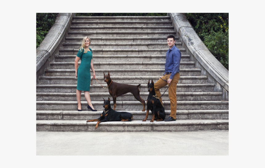 Powerscourt Estate, HD Png Download