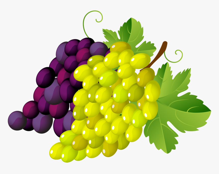 Transparent Clipart Image Grapes Png Clipart Green - Grapes Clipart Transparent Background, Png Download