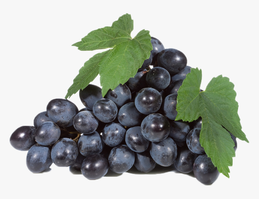 Black Grapes Png Free Download - Seedless Fruit, Transparent Png