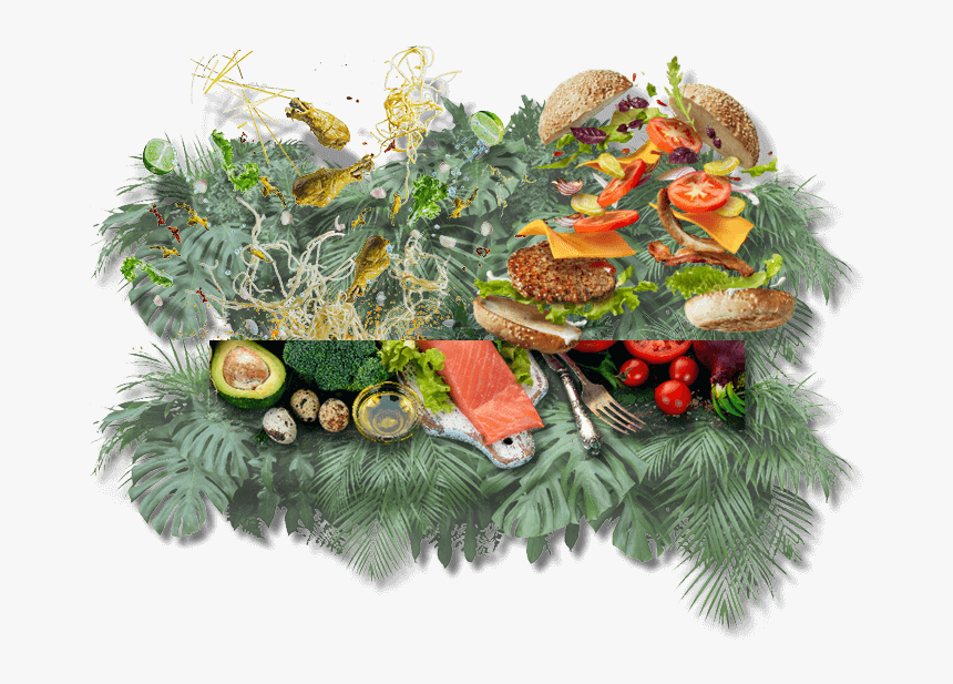 Christmas Tree, Hd Png Download , Png Download - Street Food Hawker Van Png, Transparent Png