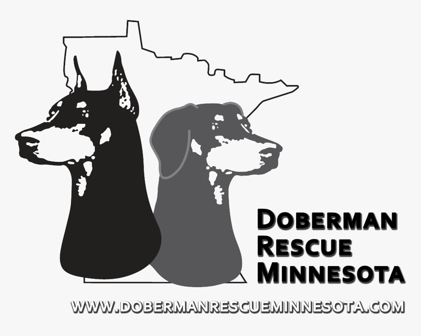 Dobermann, HD Png Download