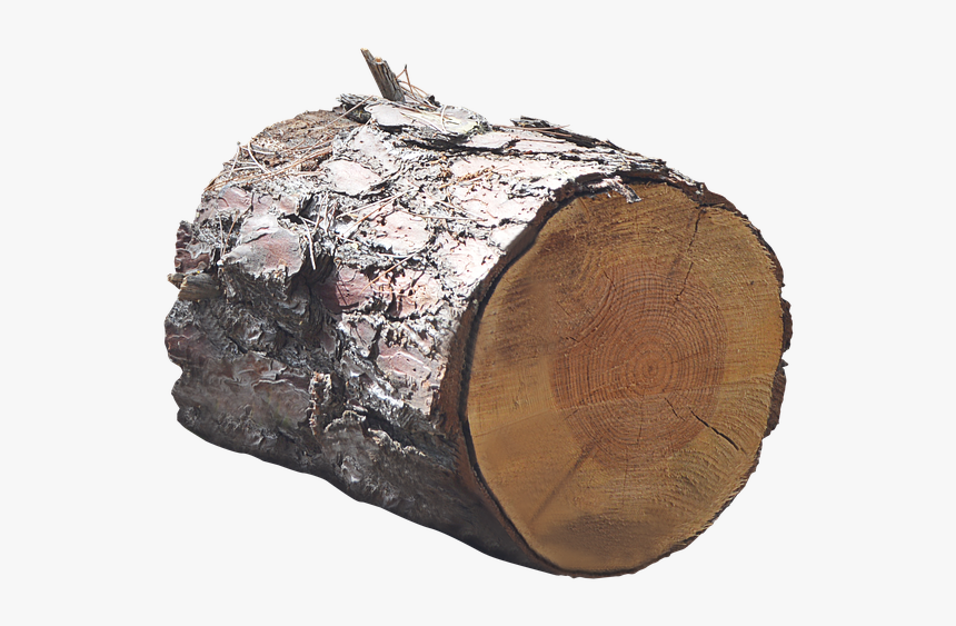 Png, Trunk, Lena, Tree - Wood Trunk Png, Transparent Png