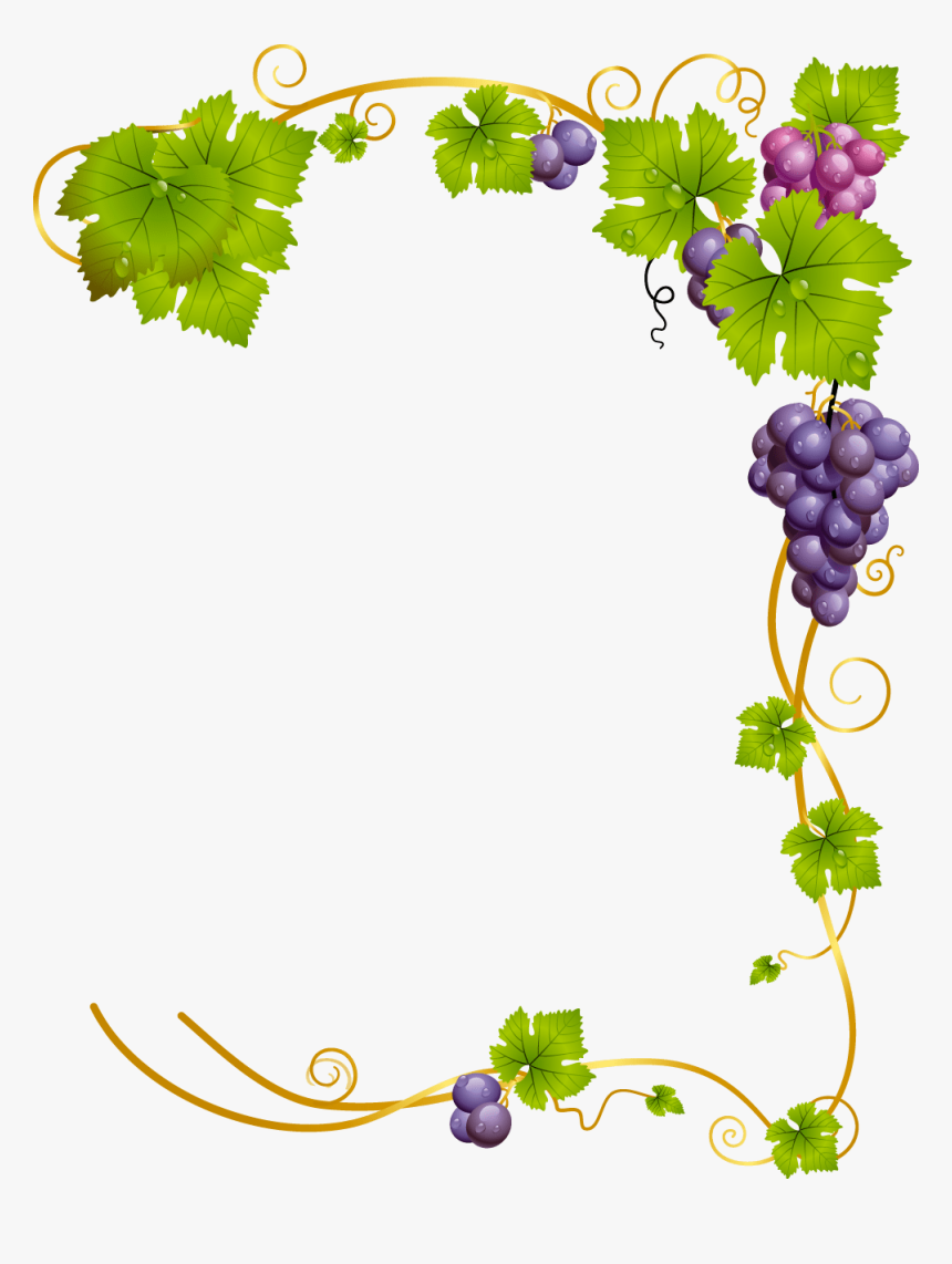 grapevine borders clipart