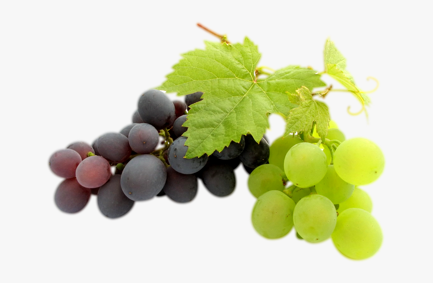 Transparent Clipart Image Grapes Png Black And Green - Grapes Bunch Transparent, Png Download