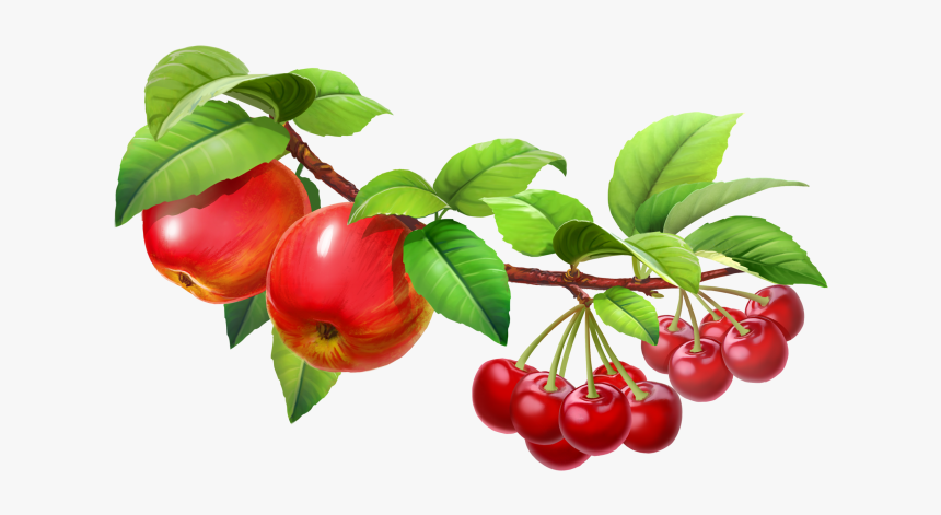 Fruit Tree Png - Png Juice Fruit Splash, Transparent Png