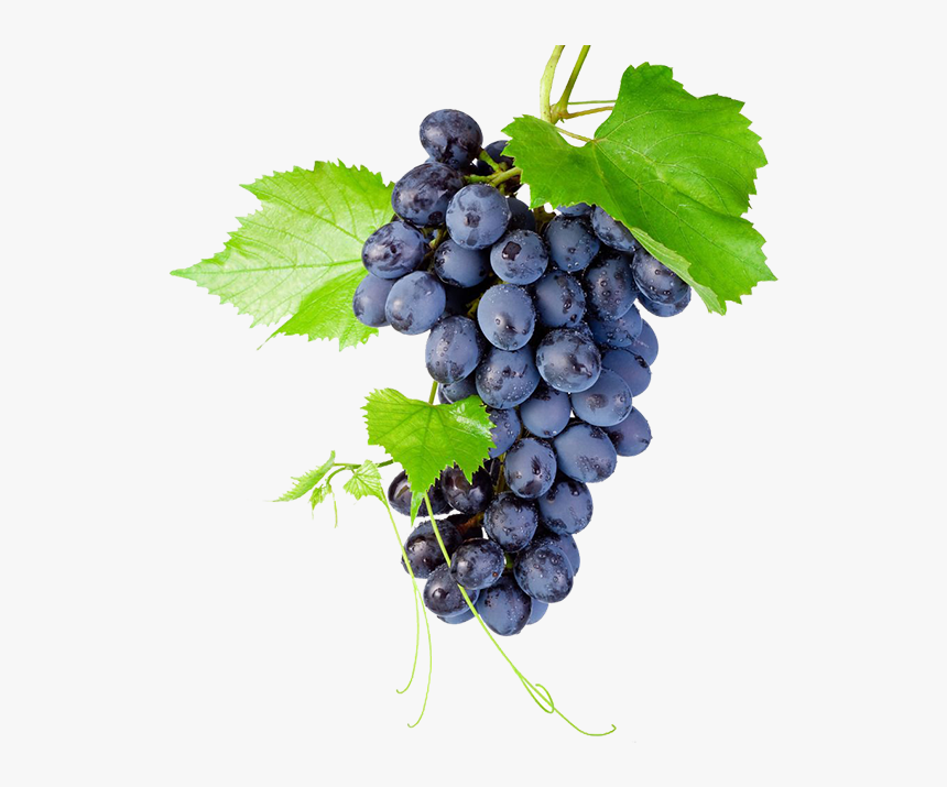 Black Grapes Png High-quality Image - Bunch Of Grapes Png, Transparent Png