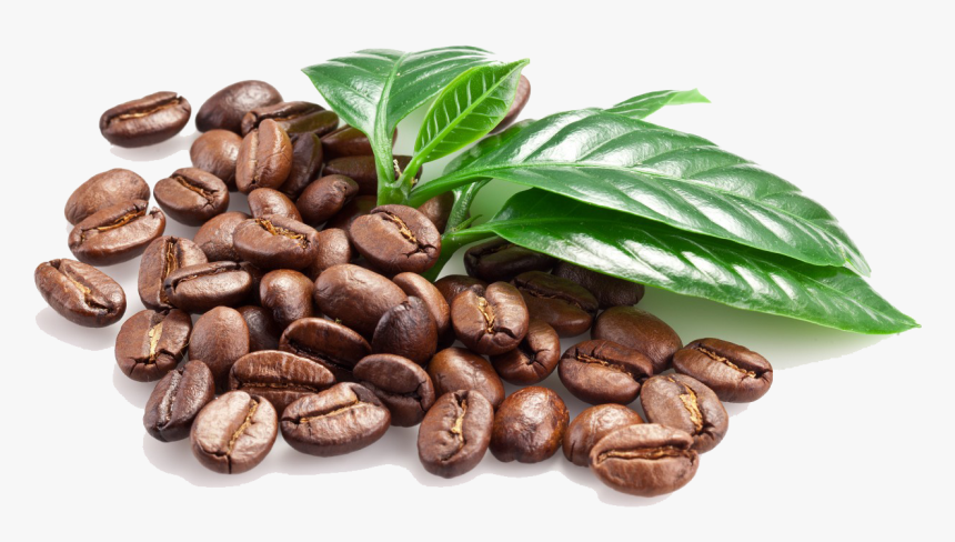 Download Coffee Beans Png Image - Coffee Bean Png File, Transparent Png