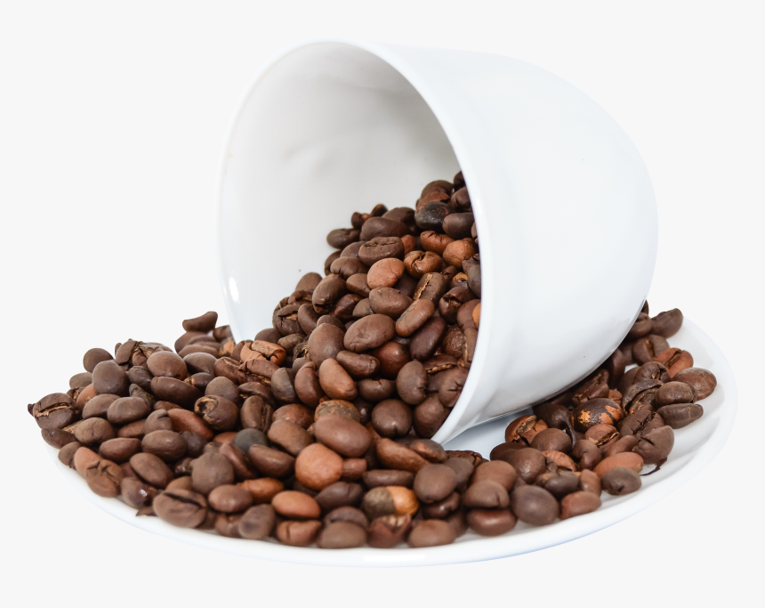 Pngpix Com Coffee Beans Png Image - Coffee Bean Png Free, Transparent Png
