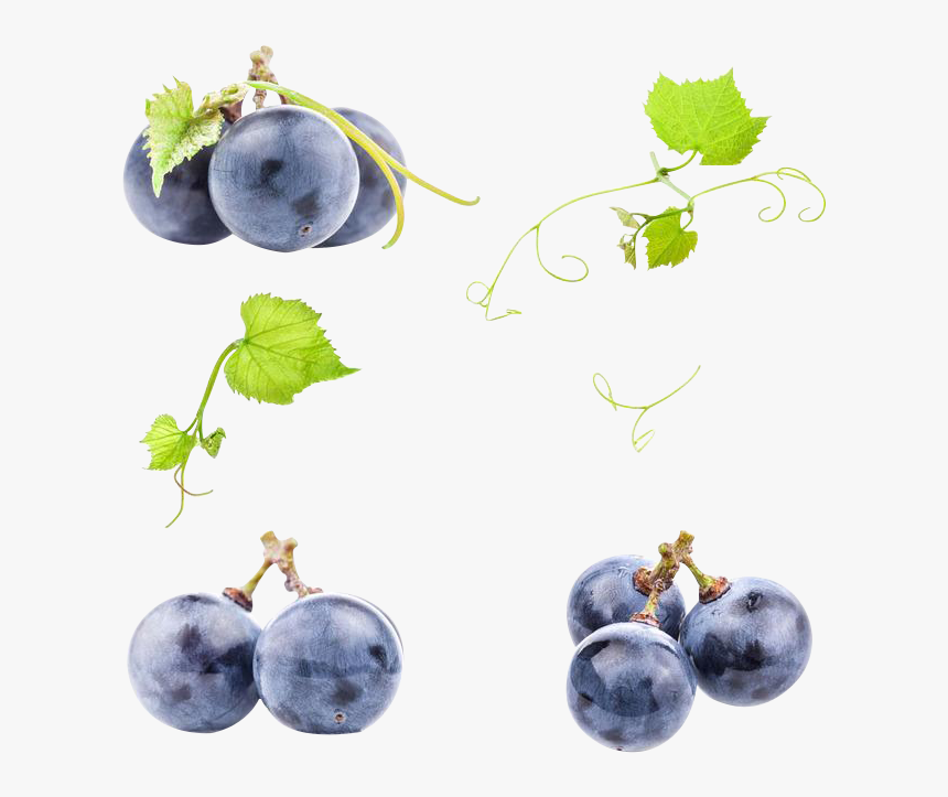 Black Grapes Png Photo - Black Grape Png, Transparent Png