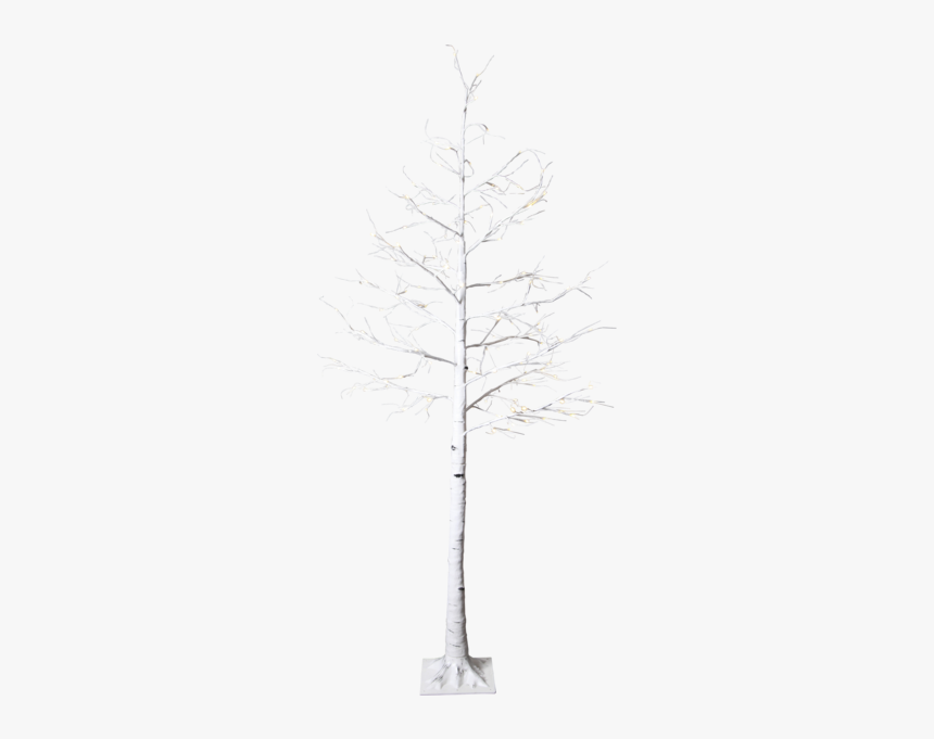 Decorative Tree Tobby Tree - Pond Pine, HD Png Download