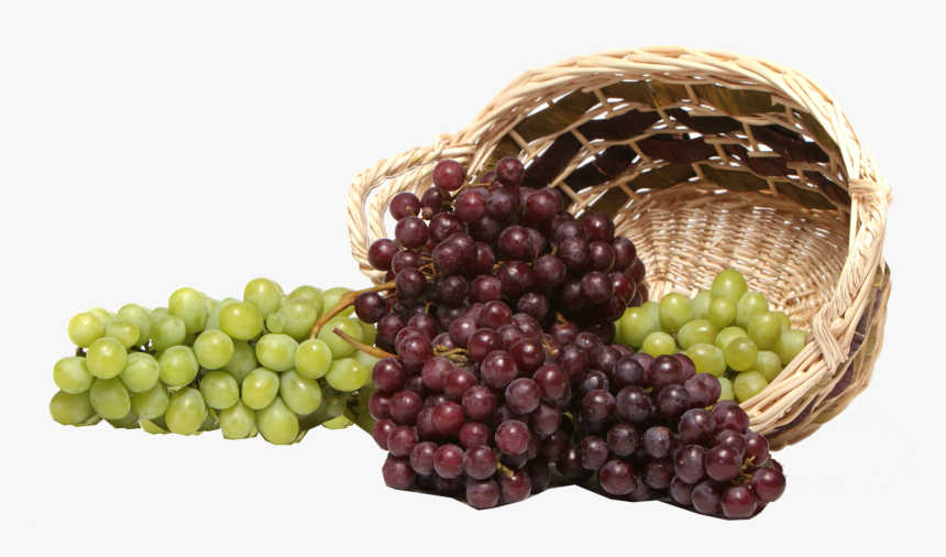 Black Grapes Png Transparent Image - سبد انگور, Png Download