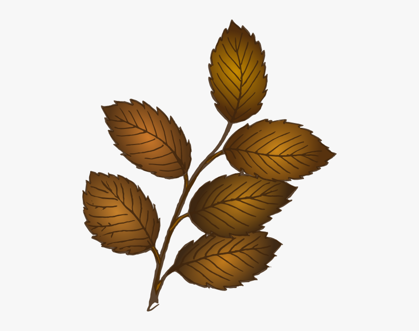 Fall Leaves Branch Clip - Leaves On Branch Clipart, HD Png Download