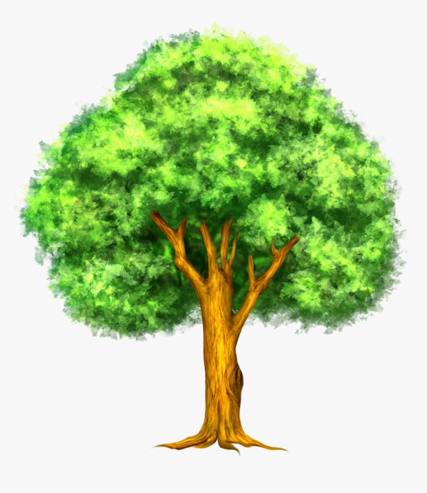 Tree Clip Art - Plant Response To Climate Change, HD Png Download