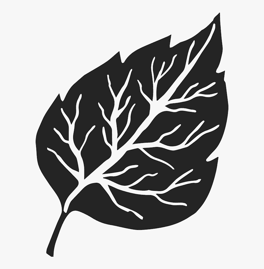 Birch Leaf Rubber Stamp, HD Png Download