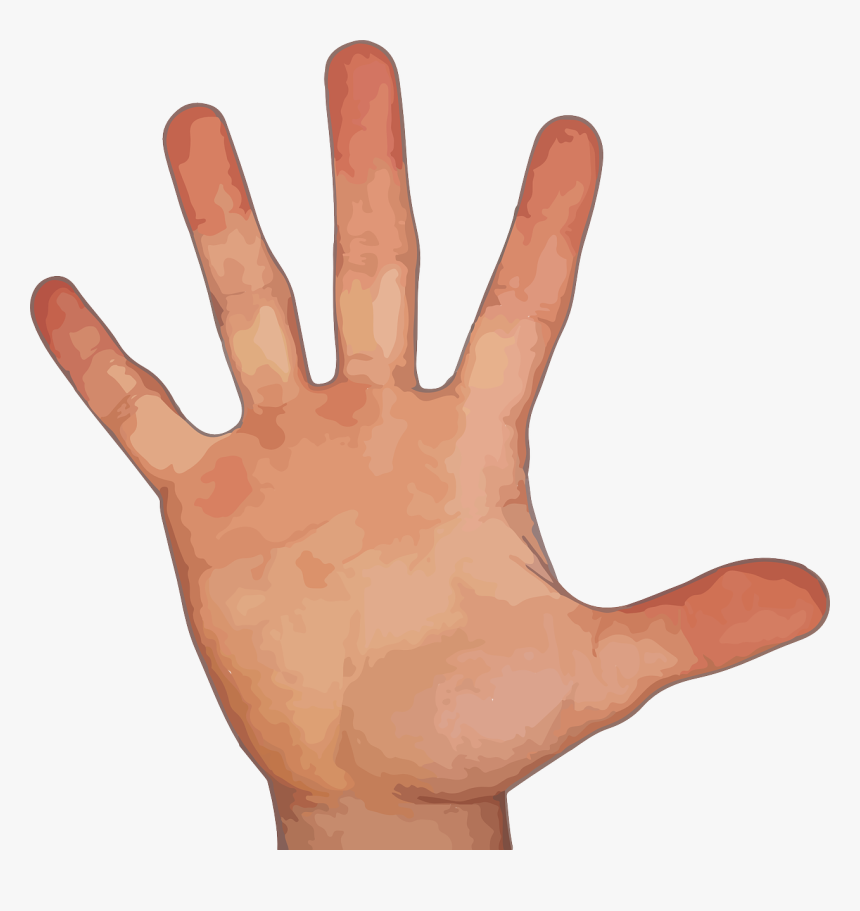 Finger, Hand, Thumb, Index Finger, Pointer Finger - Hand With 5 Fingers, HD Png Download