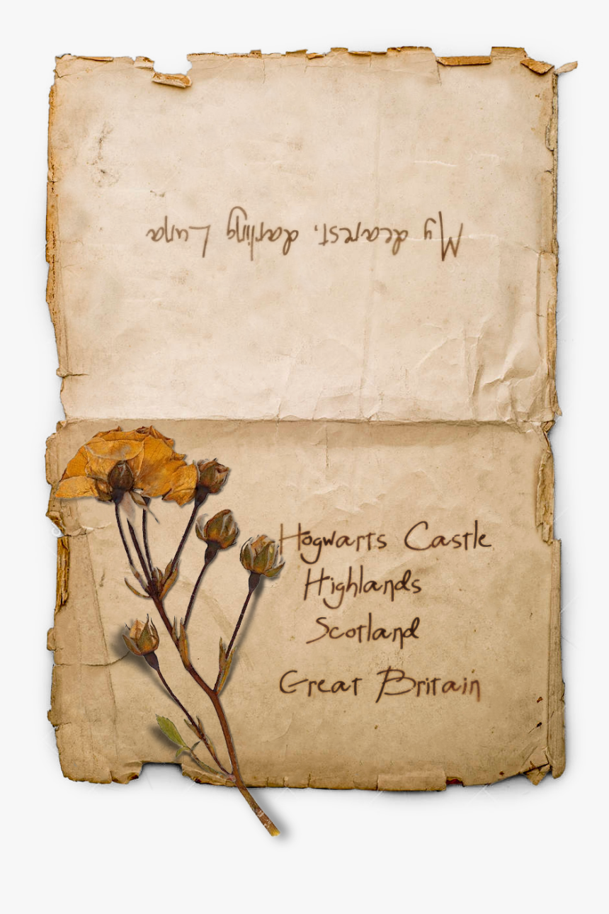 Chrysanths, HD Png Download