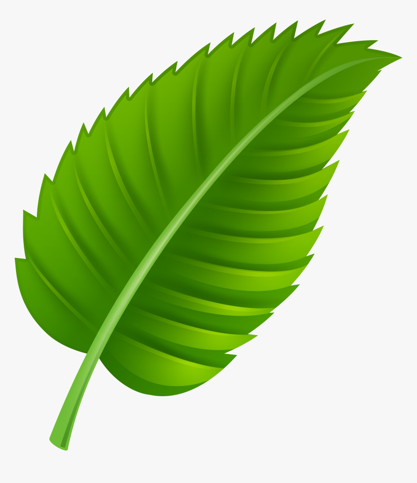 Green Leaf Png Clip Art, Transparent Png