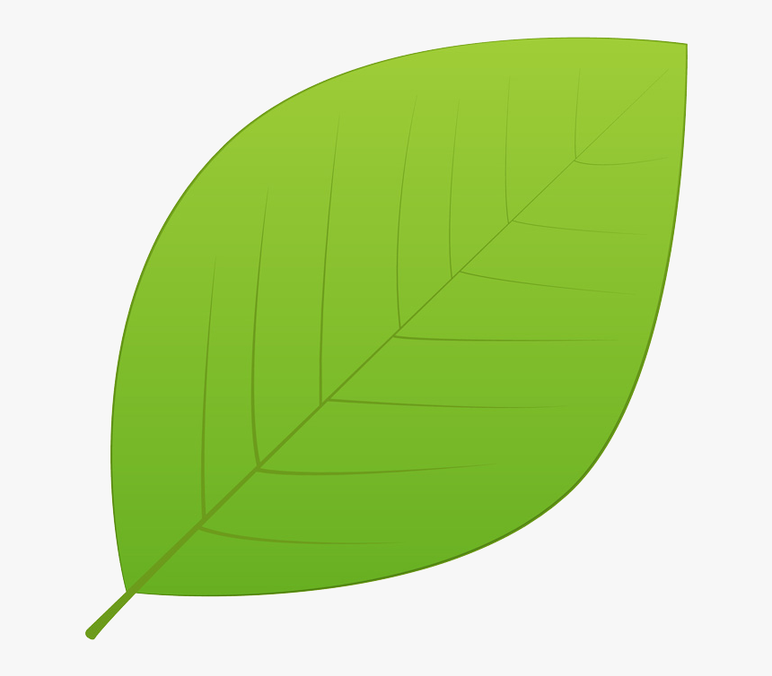 Green Leaves Png Hd Background - Thomsonův Model Atomu, Transparent Png
