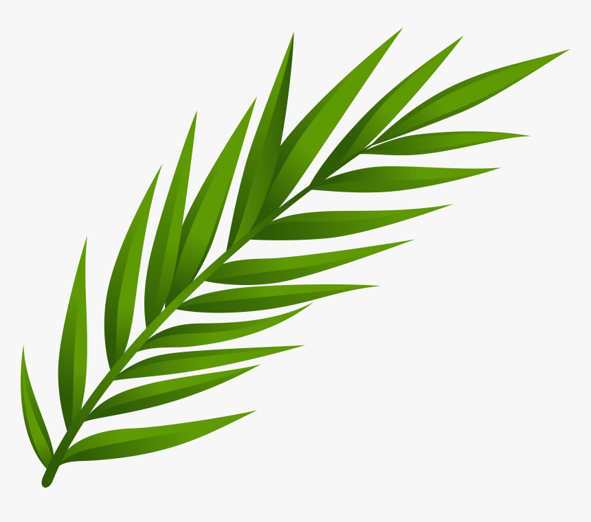 Leaf Png Clip Art, Transparent Png