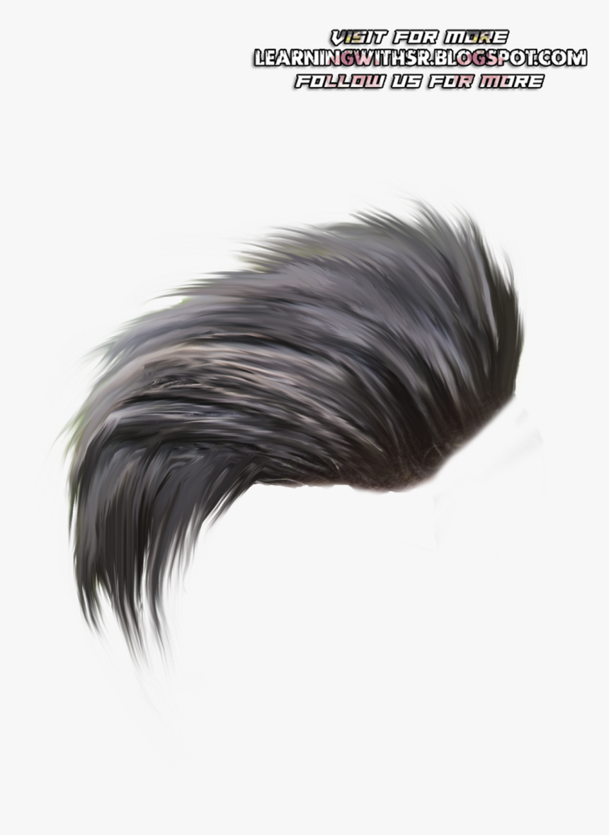 Hair Hairstyle Black Hair Feather Fashion Accessory Long Stylish