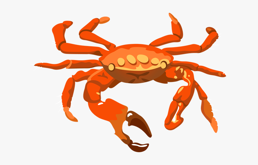 Crab Pictures Clip Art Best For Food - Transparent Background Crab Transparent, HD Png Download