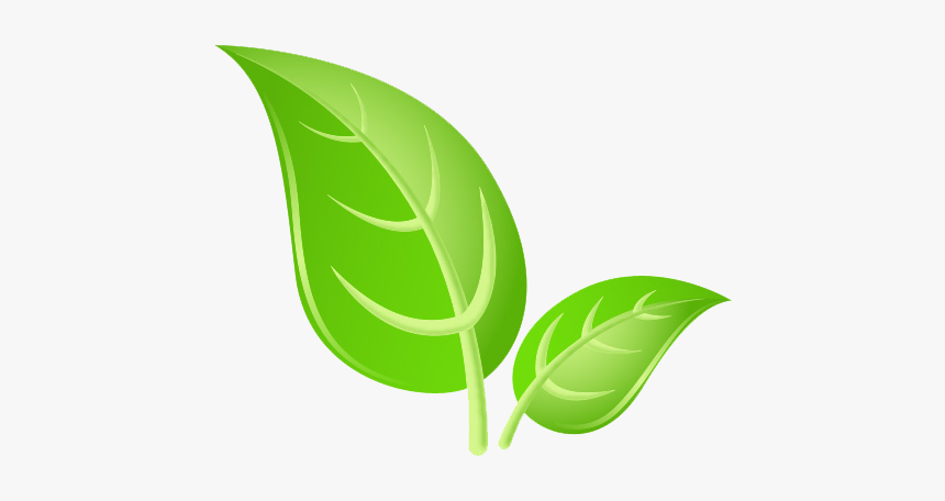 Leaf Png Hd - Leaves Png Images Hd, Transparent Png