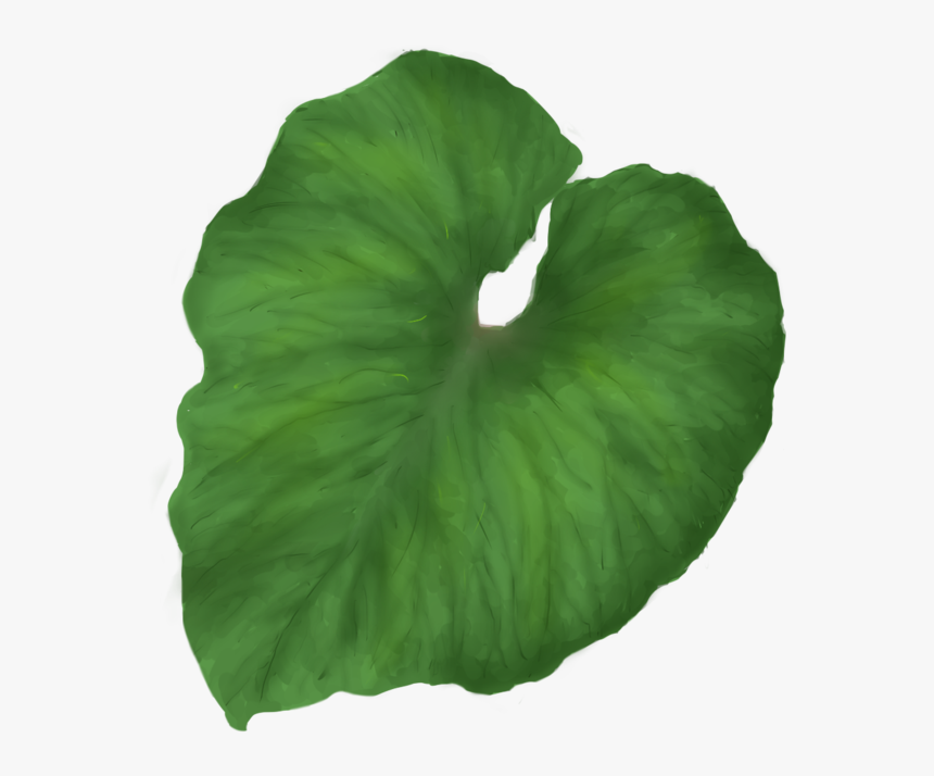 Green Leaf Png Picture - Leaves Tropical Png Background, Transparent Png