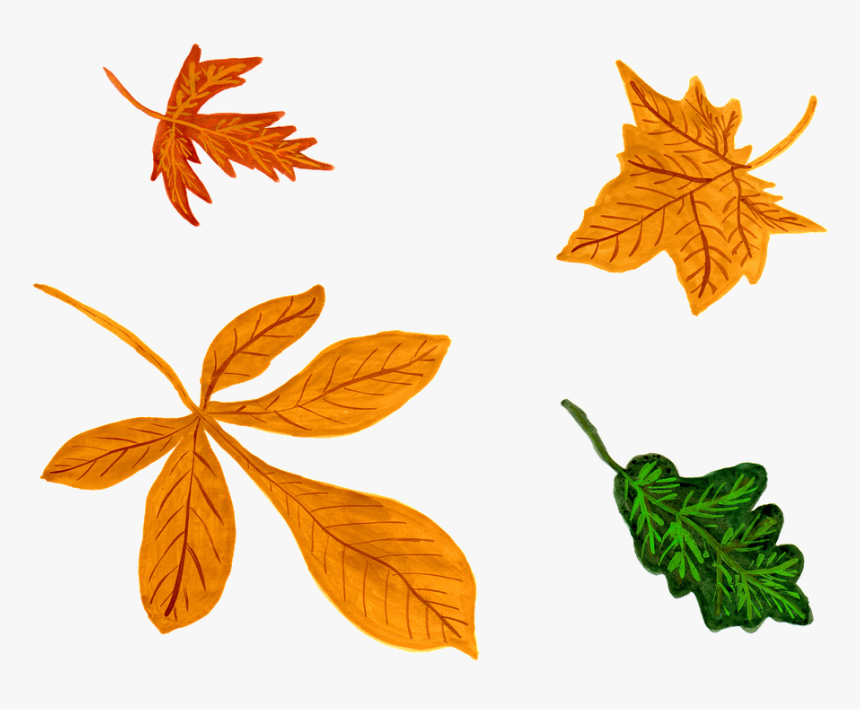 Watercolor Leaf Png -leaves, Autumn, Watercolor, Isolated,, Transparent Png