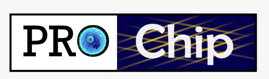 Prochip Chromatin Organization Profiling With High, HD Png Download