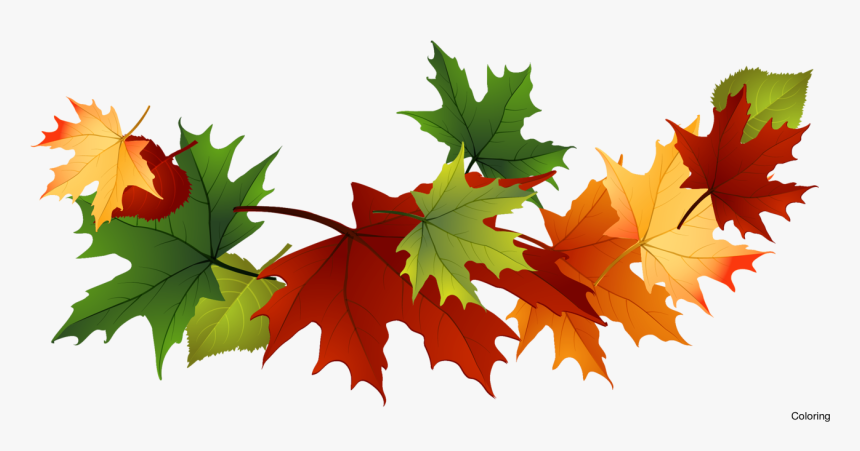Autumn Pngs, Transparent Png