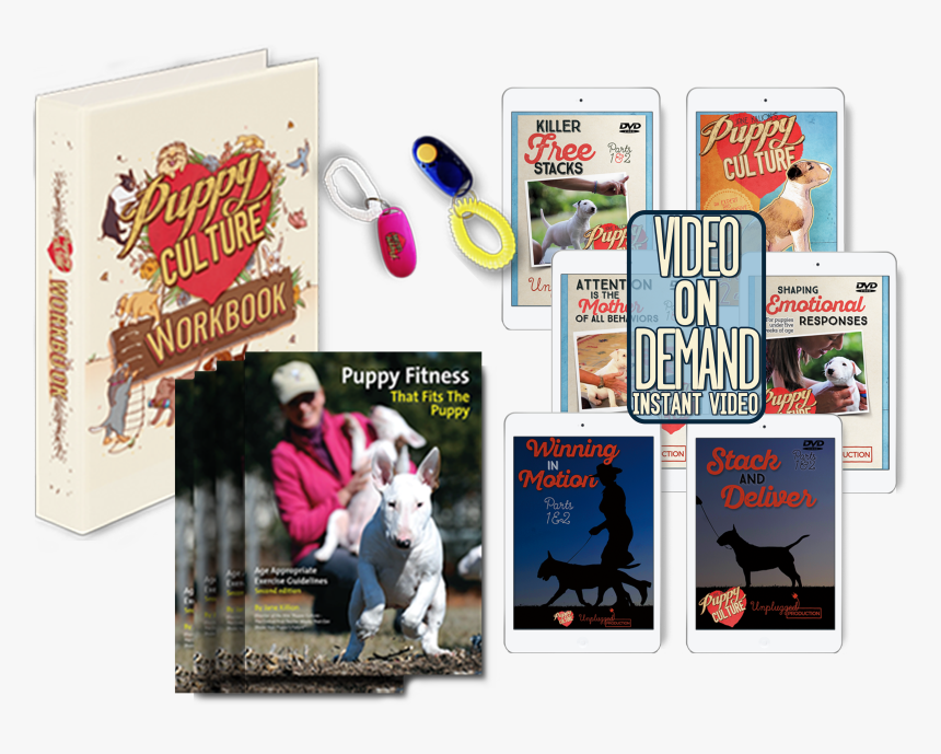 Rock Star Png, Transparent Png