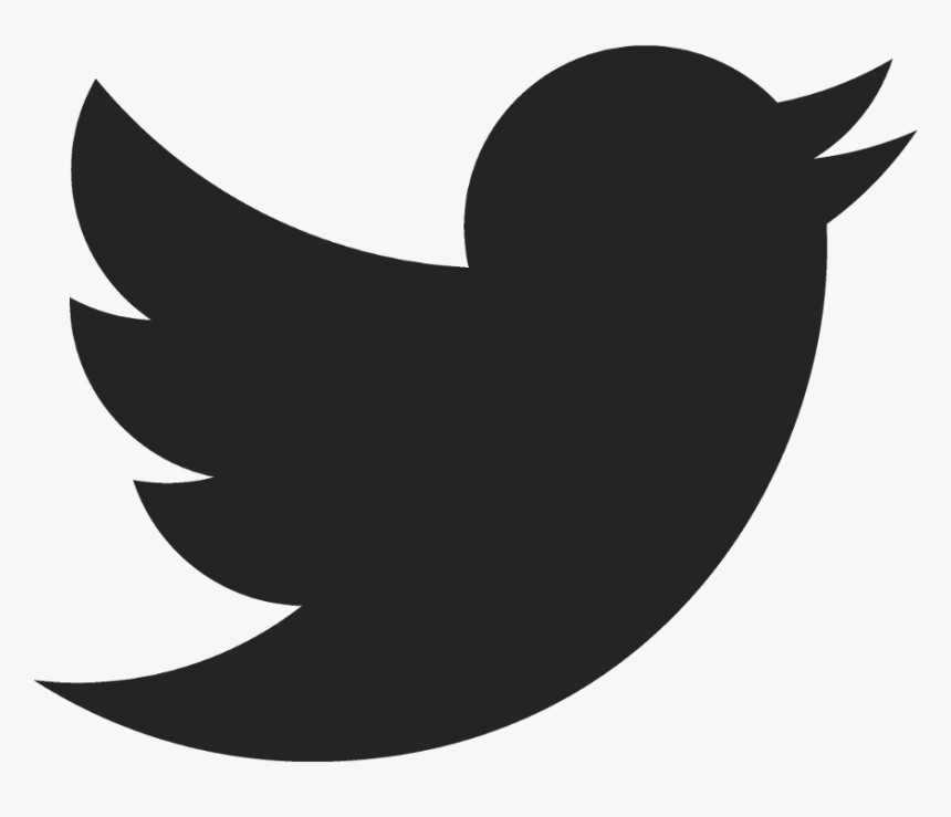 Twitter Bird White Png, Transparent Png