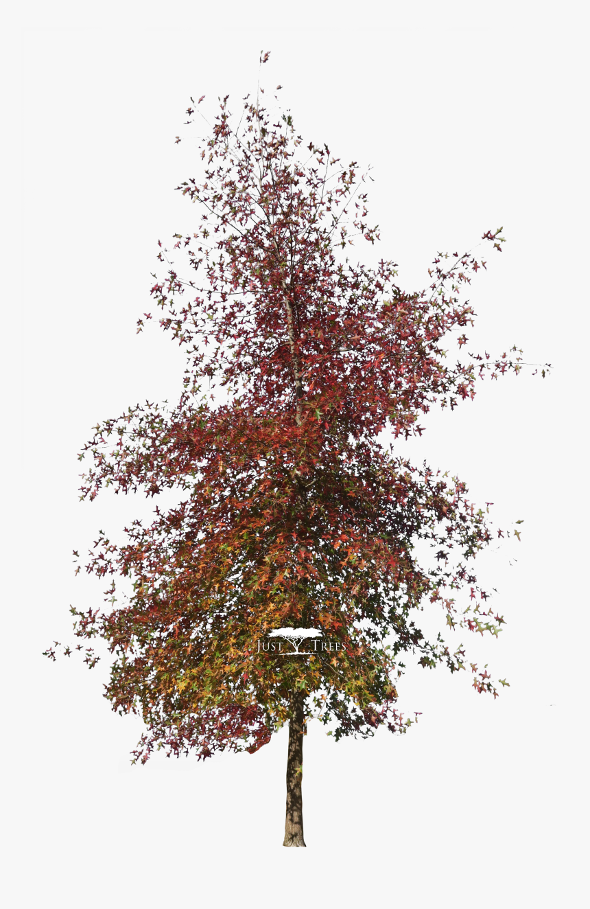 Autumn Pngs, Transparent Png