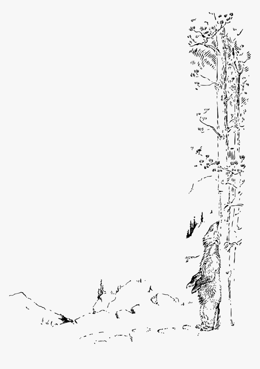 Scratches Transparent Png, Png Download