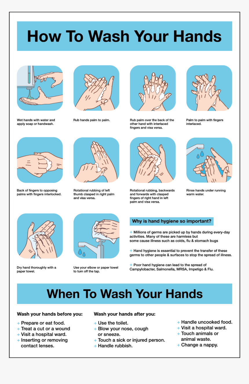 How To Wash Your Hands Staff Guidance Self Adhesive, HD Png Download