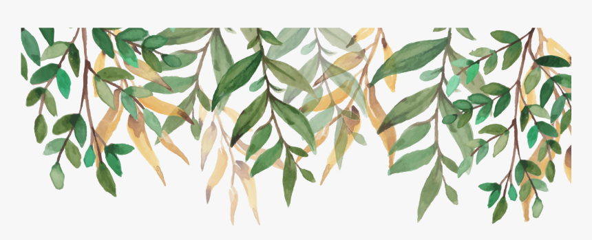 Transparent Green Heart Png, Png Download