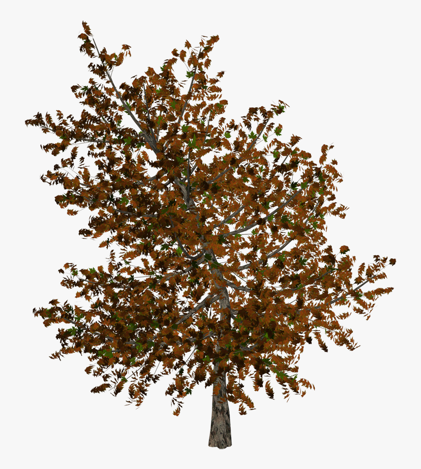 Autumn Pngs, Transparent Png