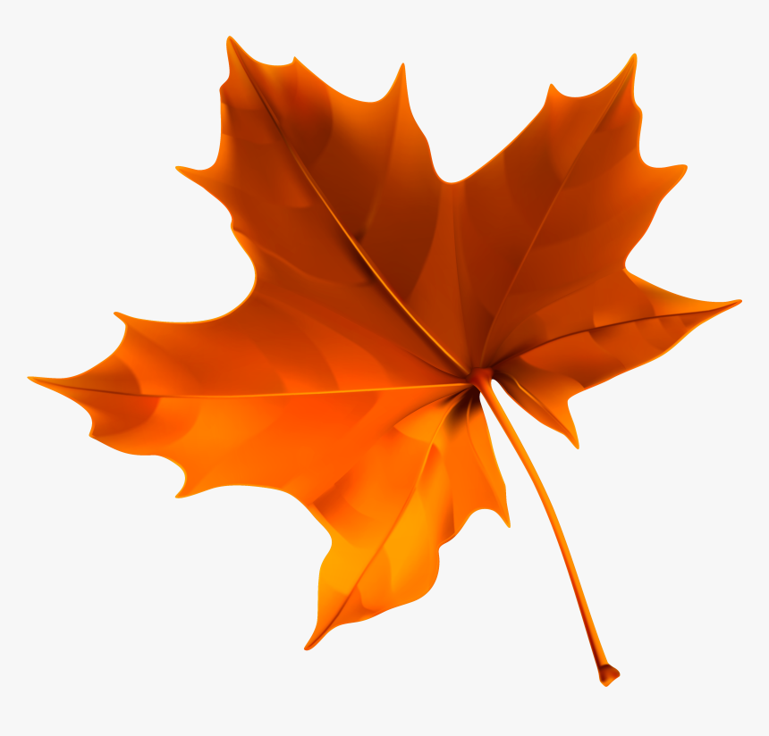 Autumn Color Leaf Red Free Clipart Hd Clipart, HD Png Download