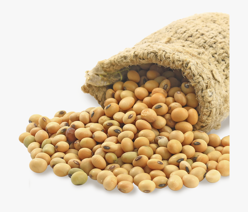 Soybeans Png, Transparent Png