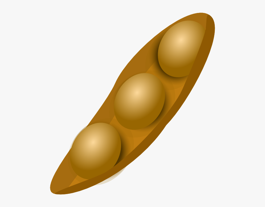 Soybean Png, Transparent Png