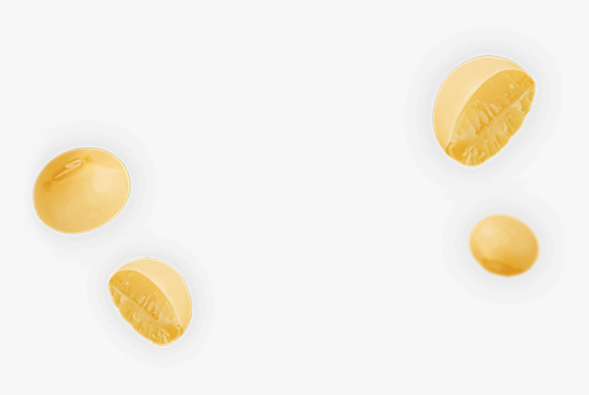 Soybean Png, Transparent Png