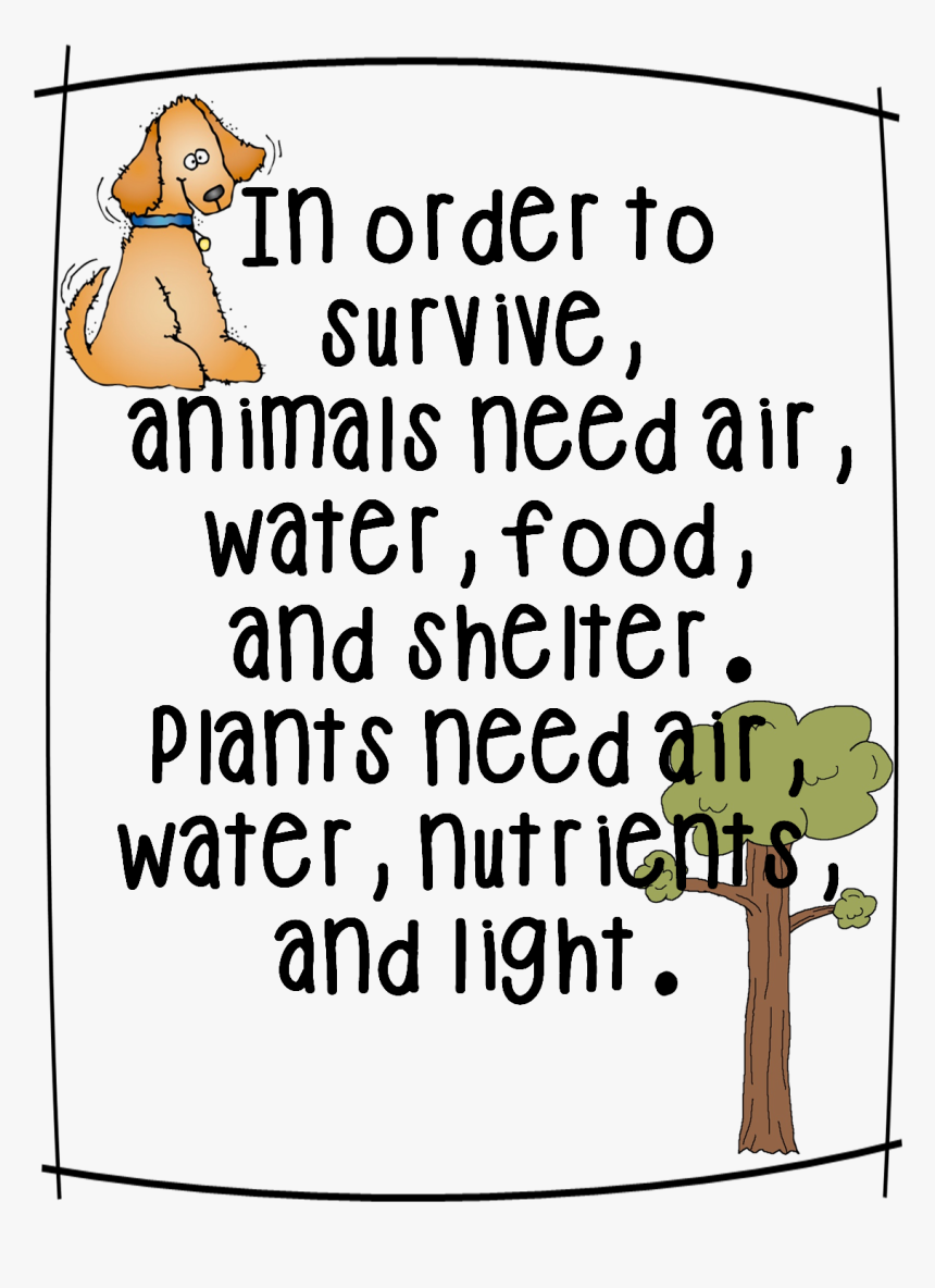 Gummy Worm Png, Transparent Png