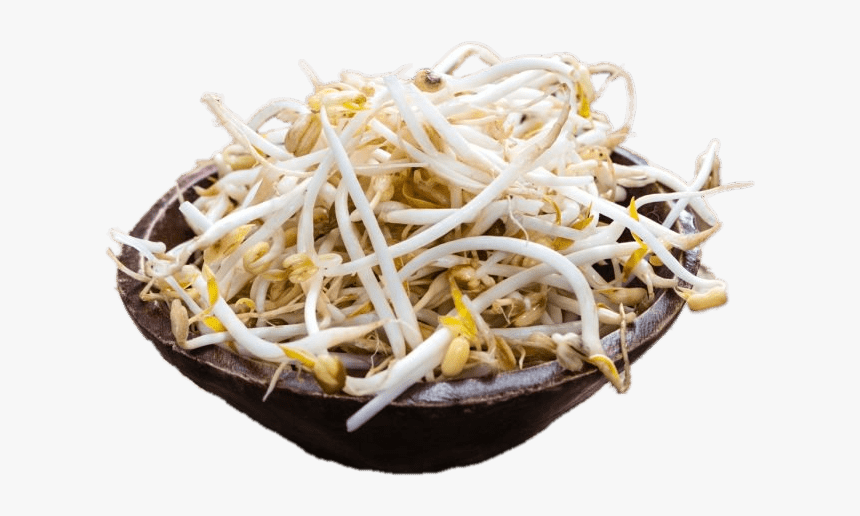 Bowl Of Soybean Sprouts, HD Png Download