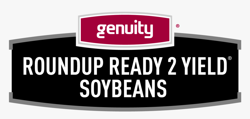 Transparent Soybeans Png, Png Download
