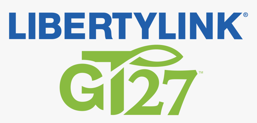 Soybeans Png, Transparent Png