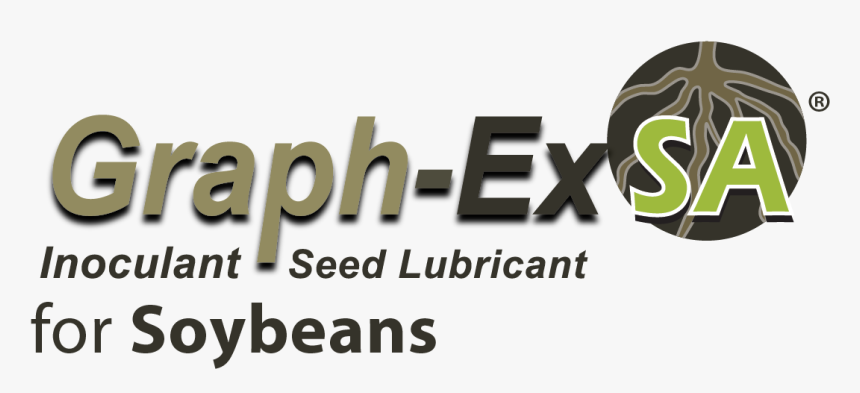Soybeans Png, Transparent Png