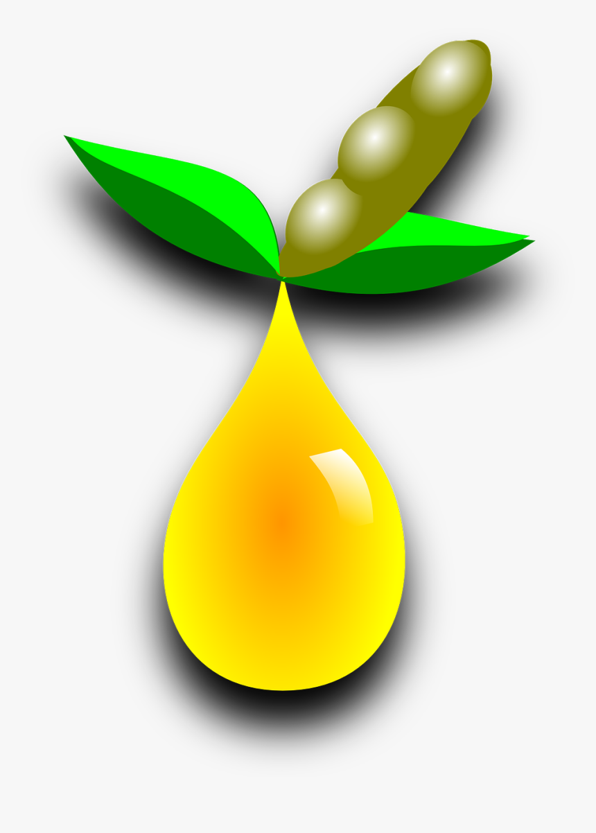 Soybeans Png, Transparent Png