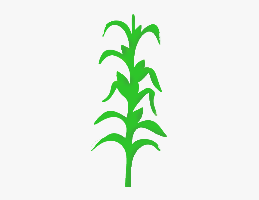 Stalk Image Free Soybean Huge Freebie Download For, HD Png Download